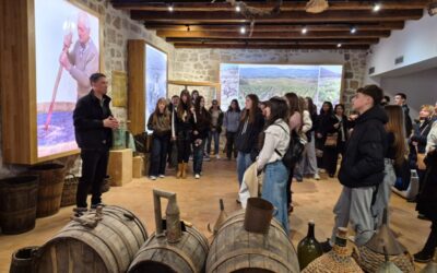 Županijska izložba Natjecanja učenika osnovnih i srednjih škola iz područja vizualnih umjetnosti i dizajna LIK 2026.