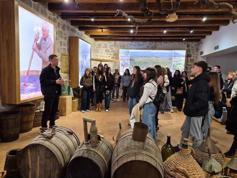 Županijska izložba Natjecanja učenika osnovnih i srednjih škola iz područja vizualnih umjetnosti i dizajna LIK 2026.